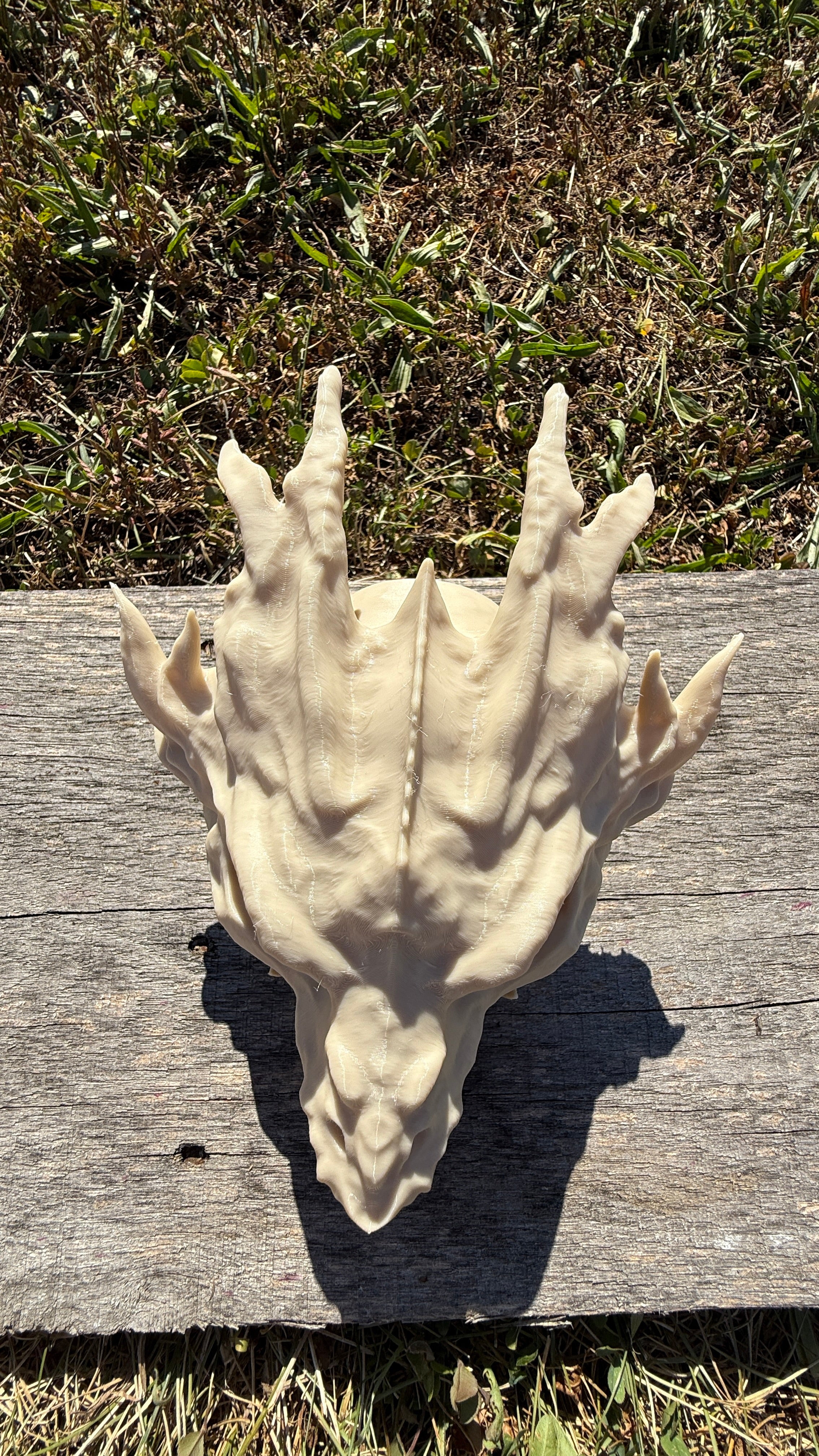 Dragon Skull