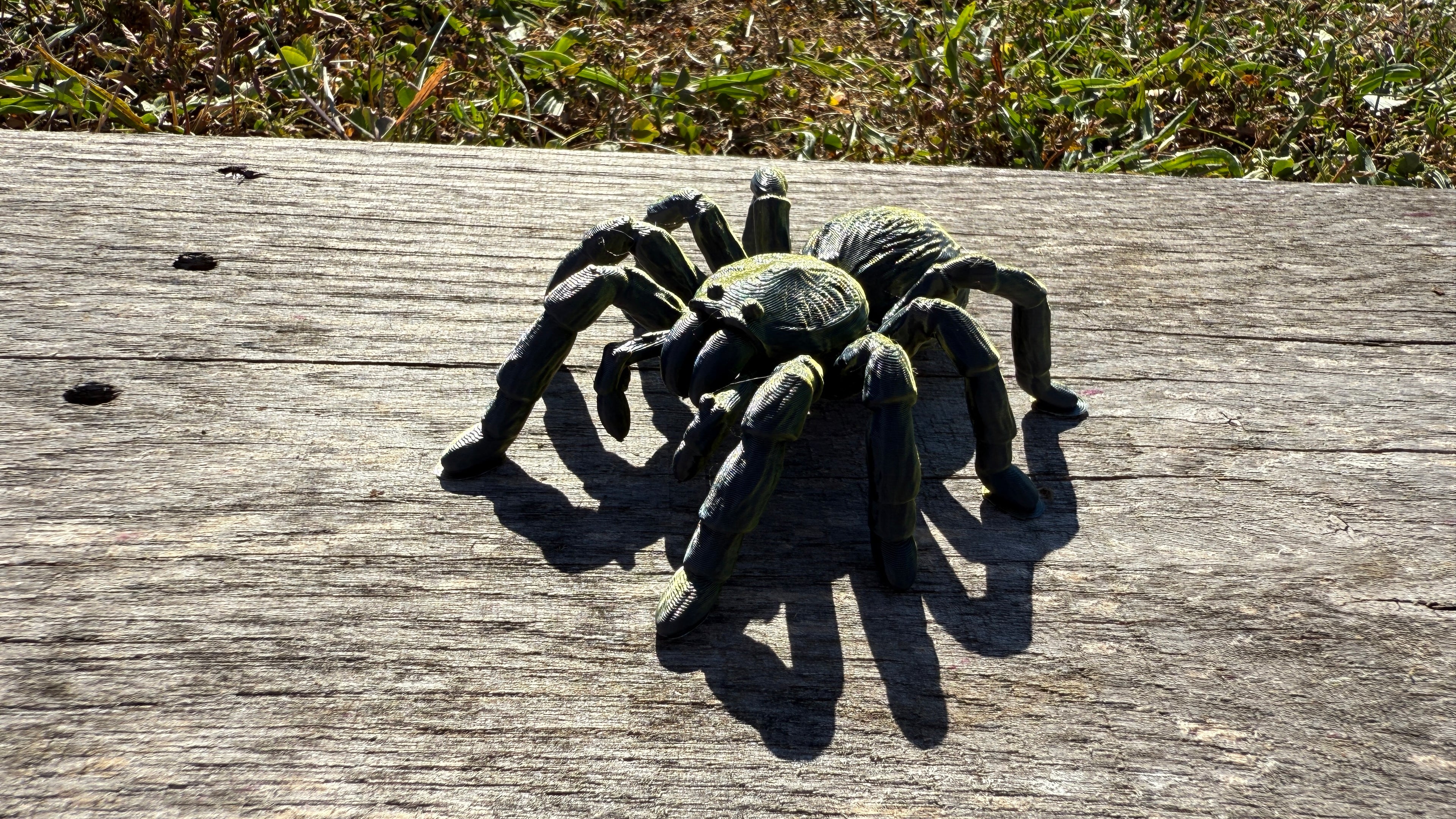 Creepy Spider