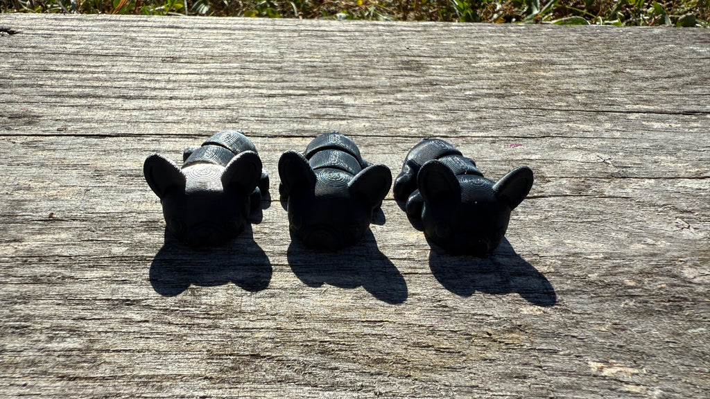 Mini Black French Bulldogs