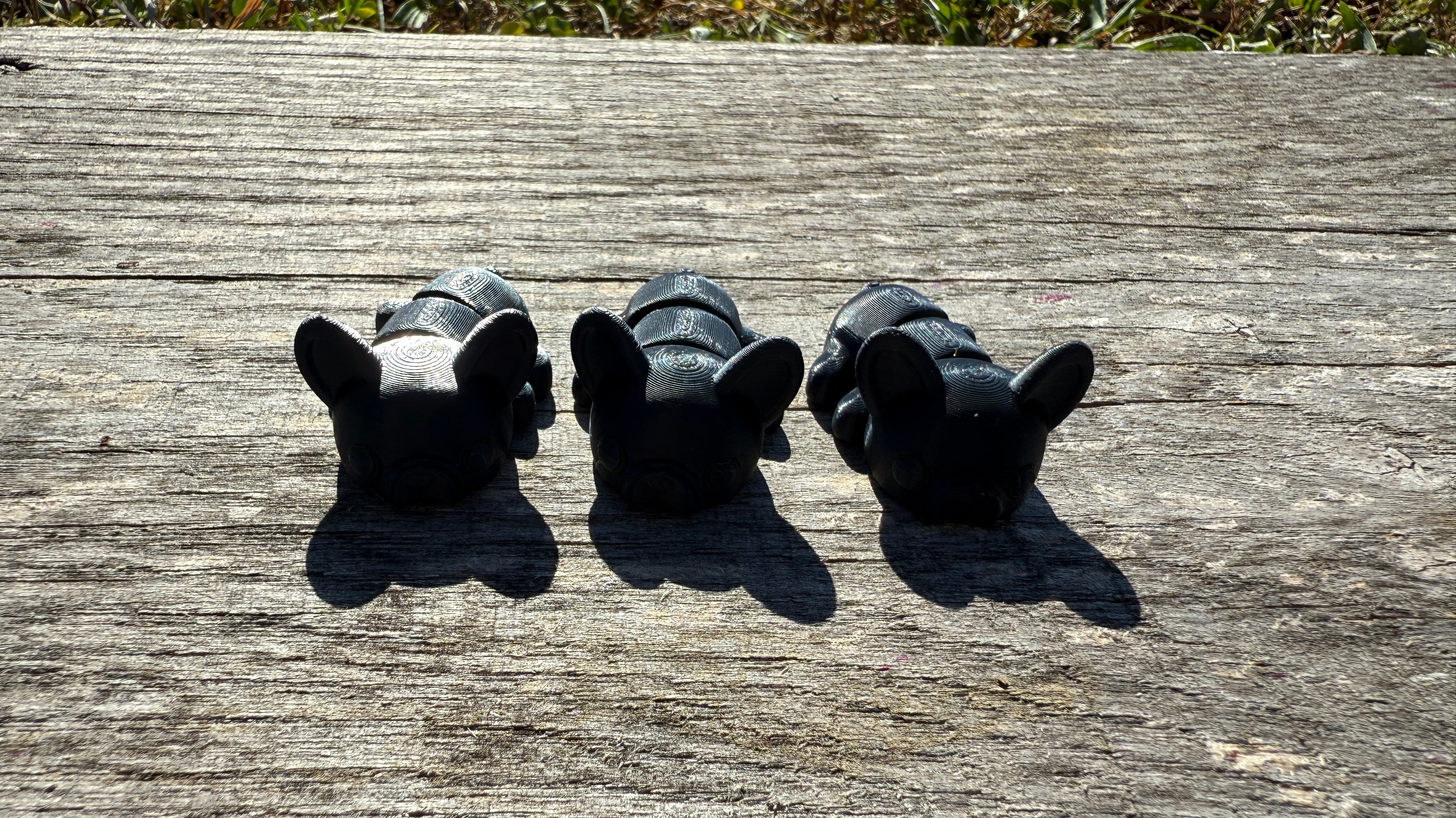 Mini Black French Bulldogs