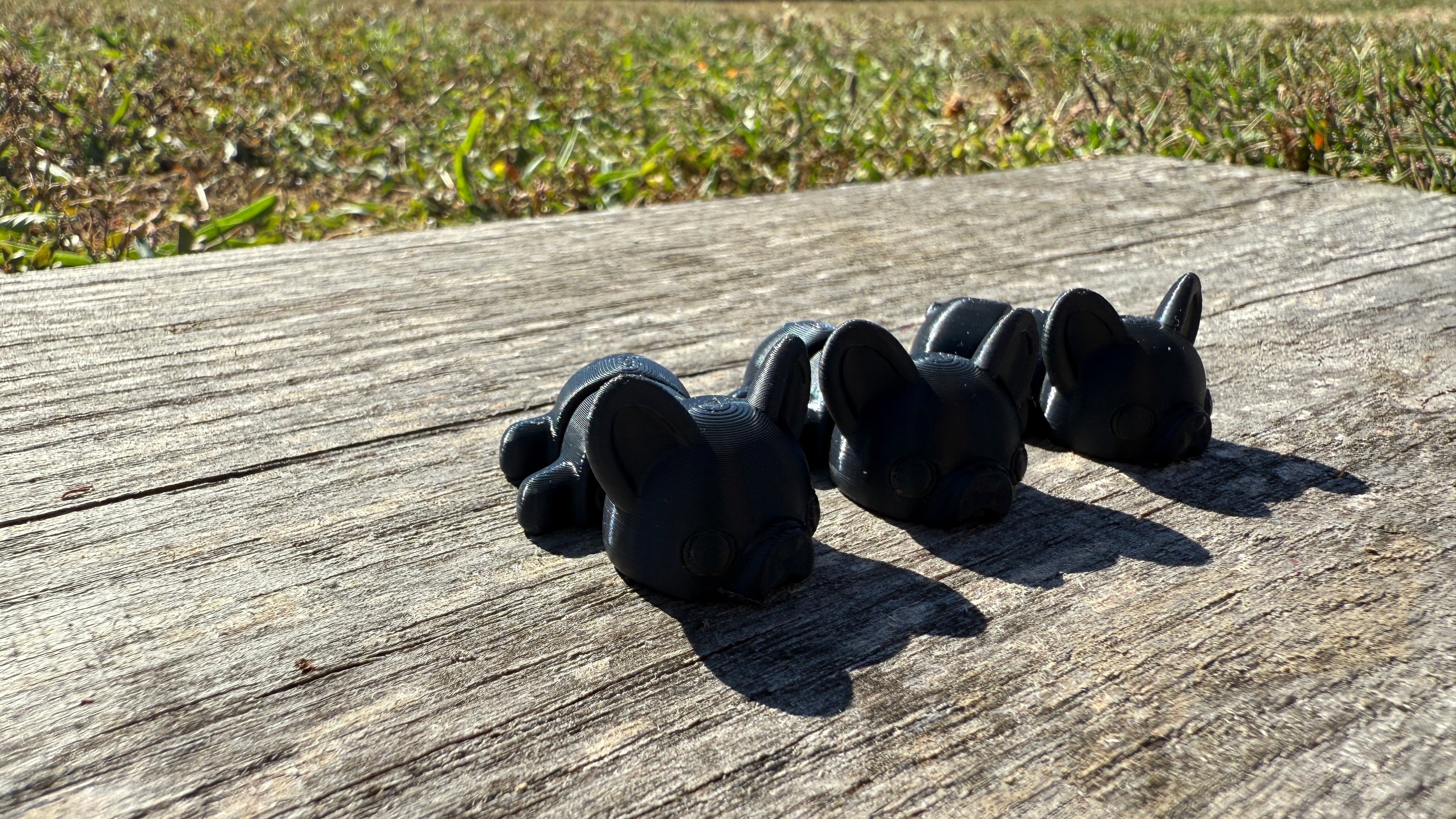 Mini Black French Bulldogs