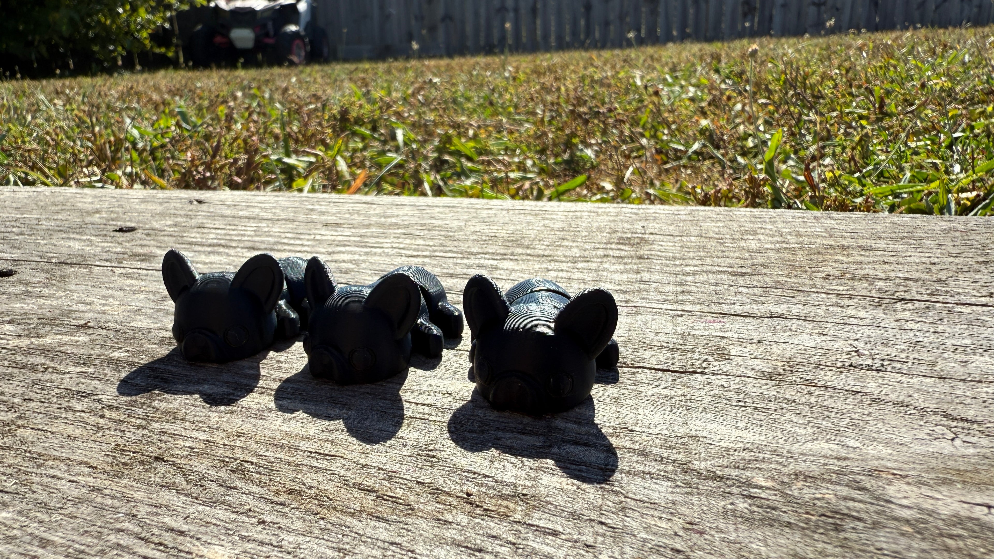 Mini Black French Bulldogs