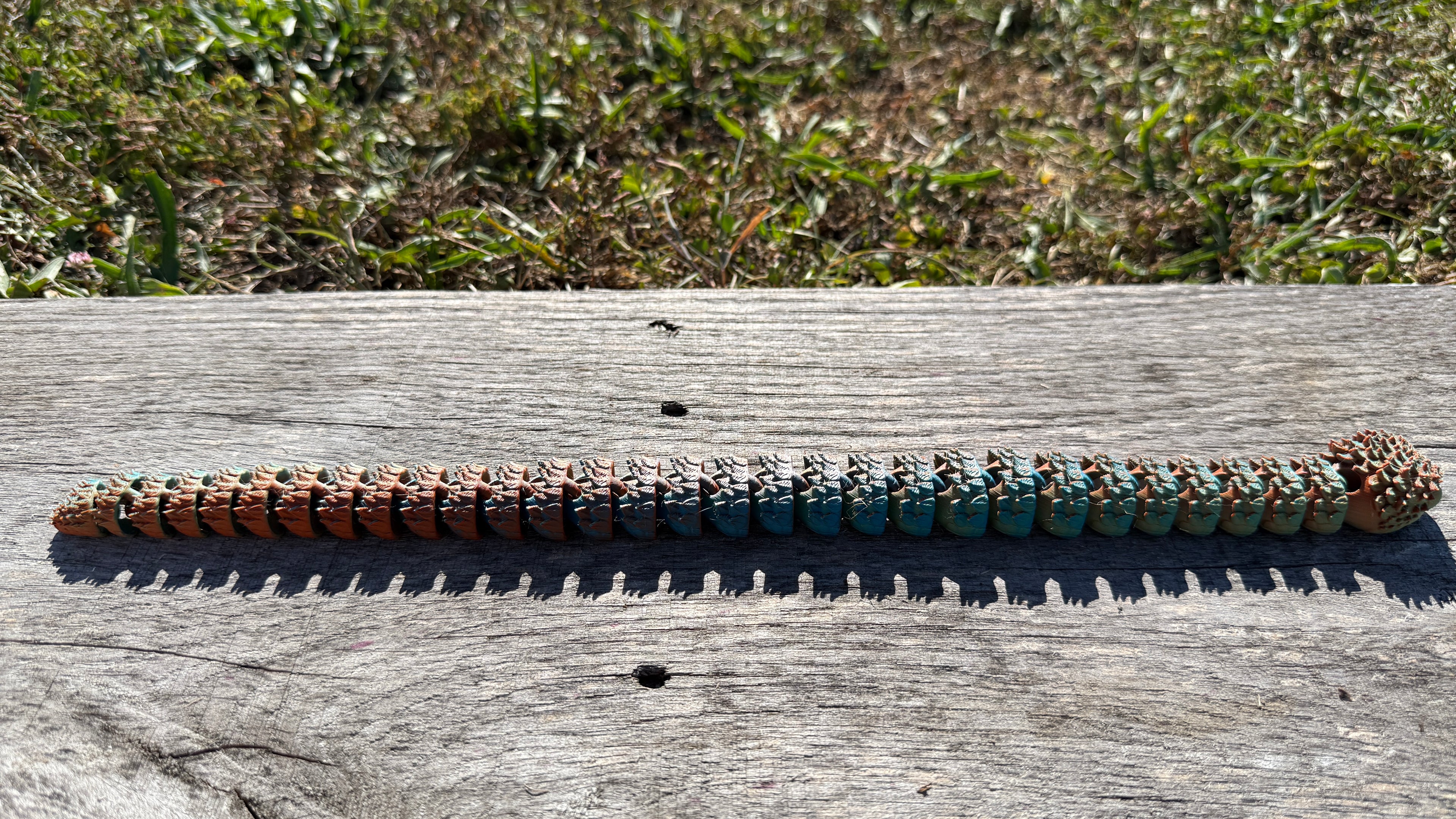 Articulated Dragon Snake