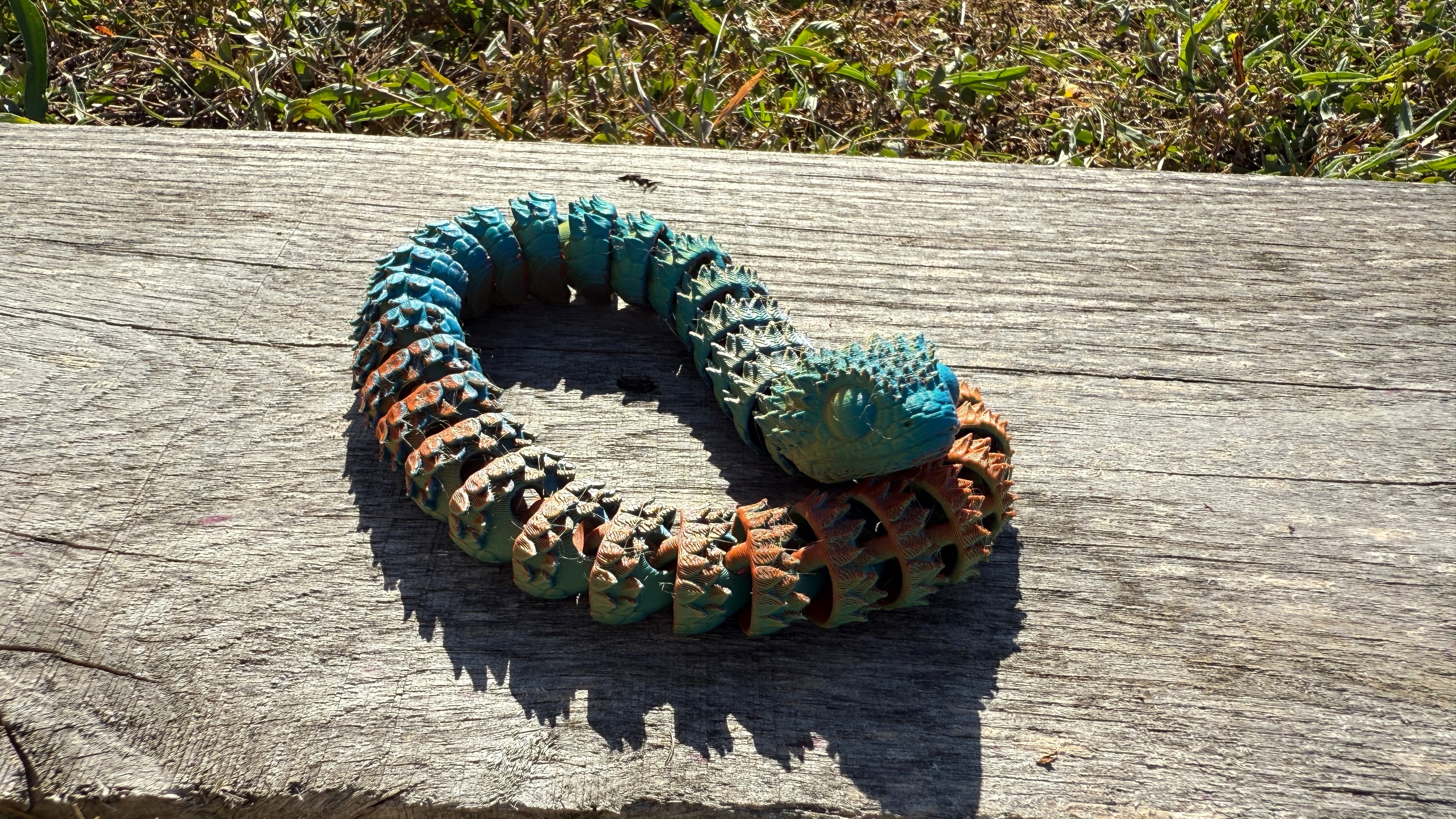 Articulated Dragon Snake