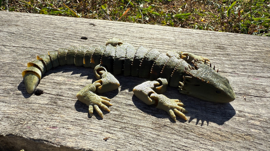 Articulated Bearded Dragon