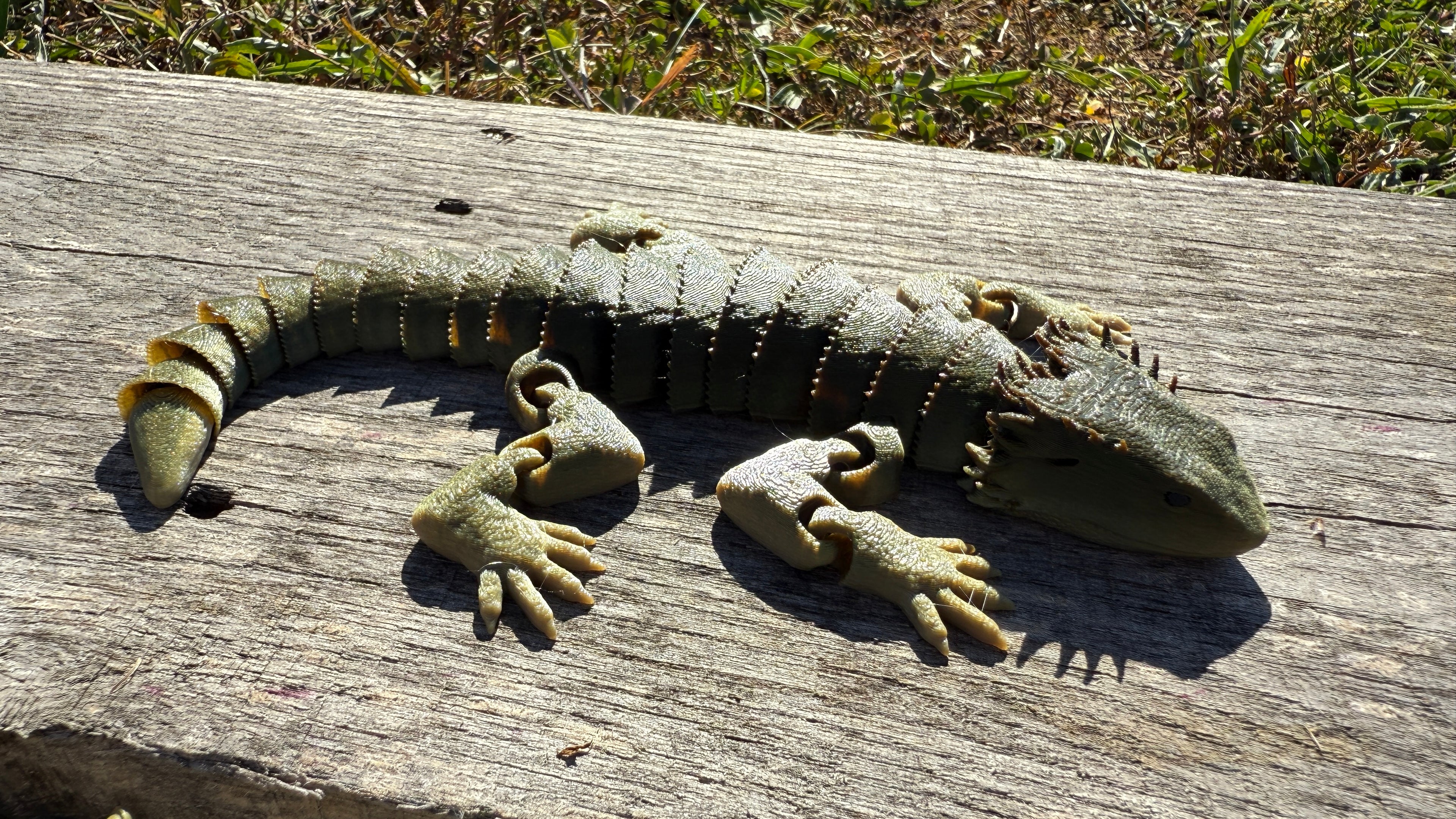 Articulated Bearded Dragon
