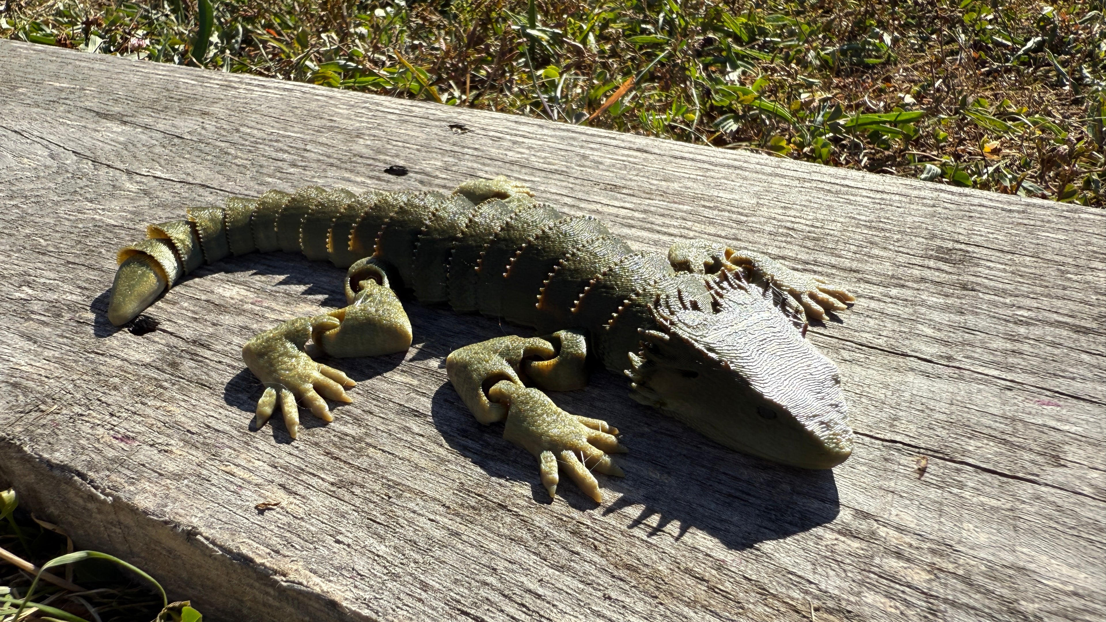 Articulated Bearded Dragon