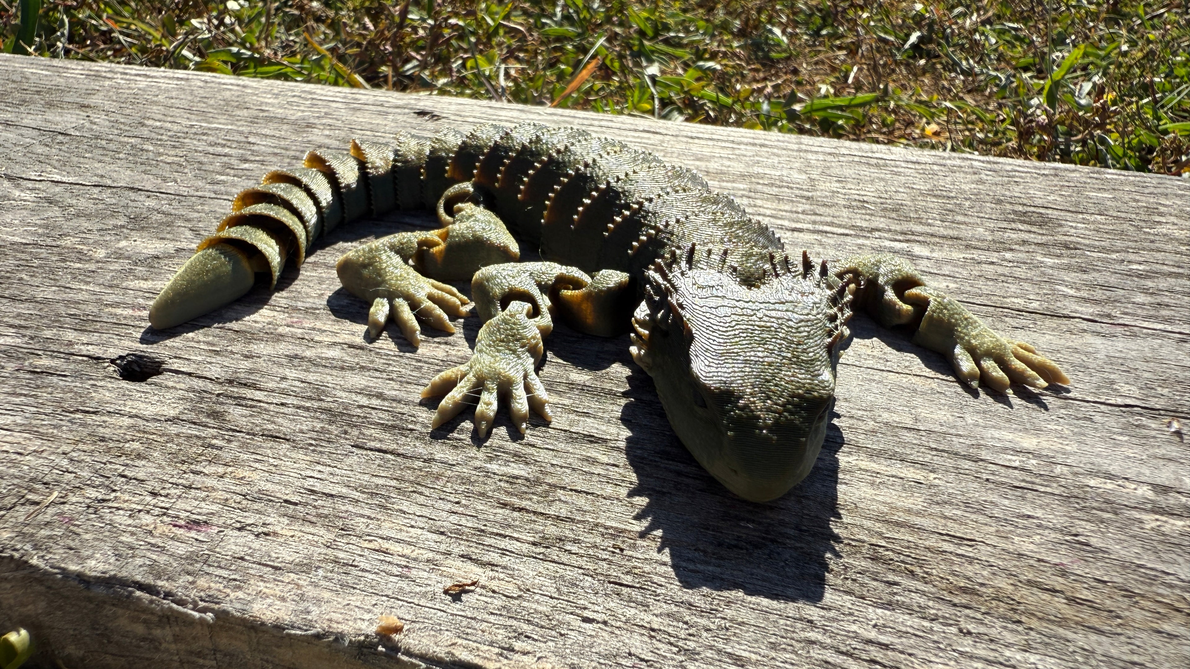 Articulated Bearded Dragon