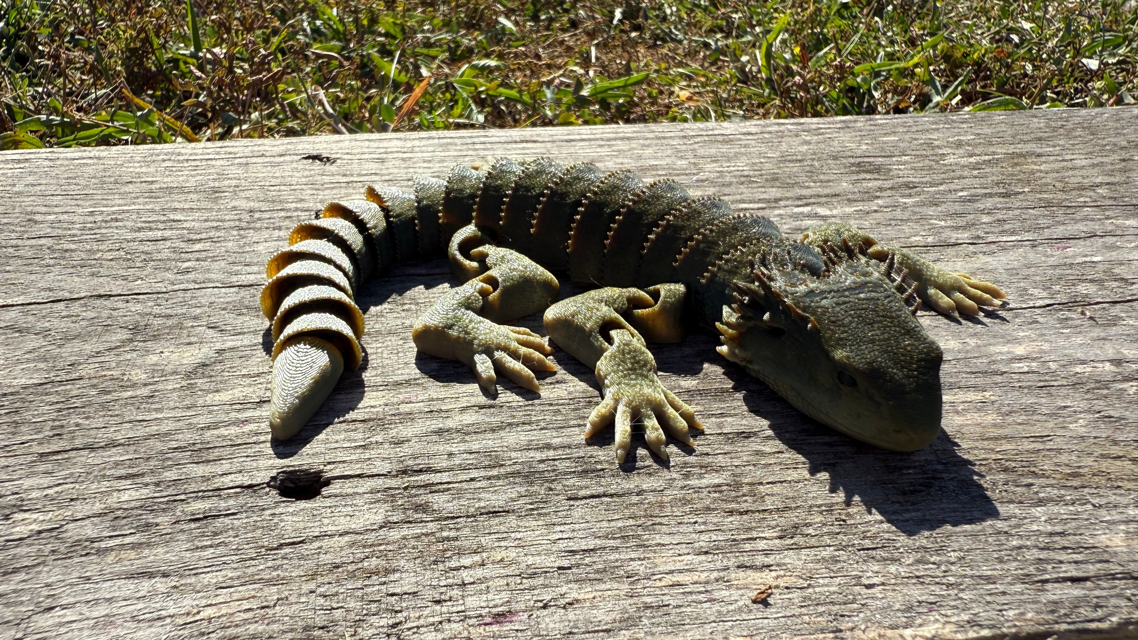 Articulated Bearded Dragon