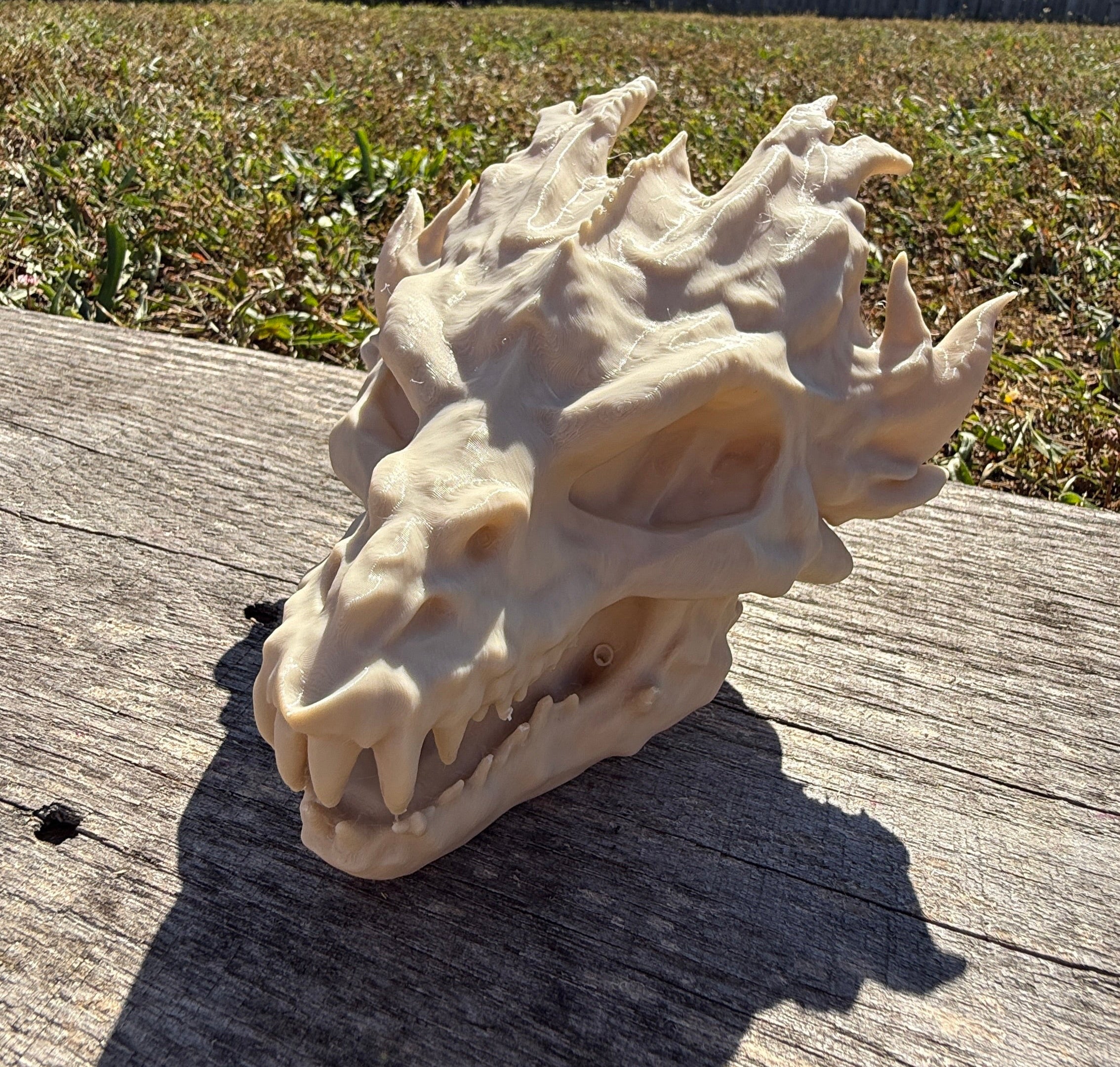 Dragon Skull