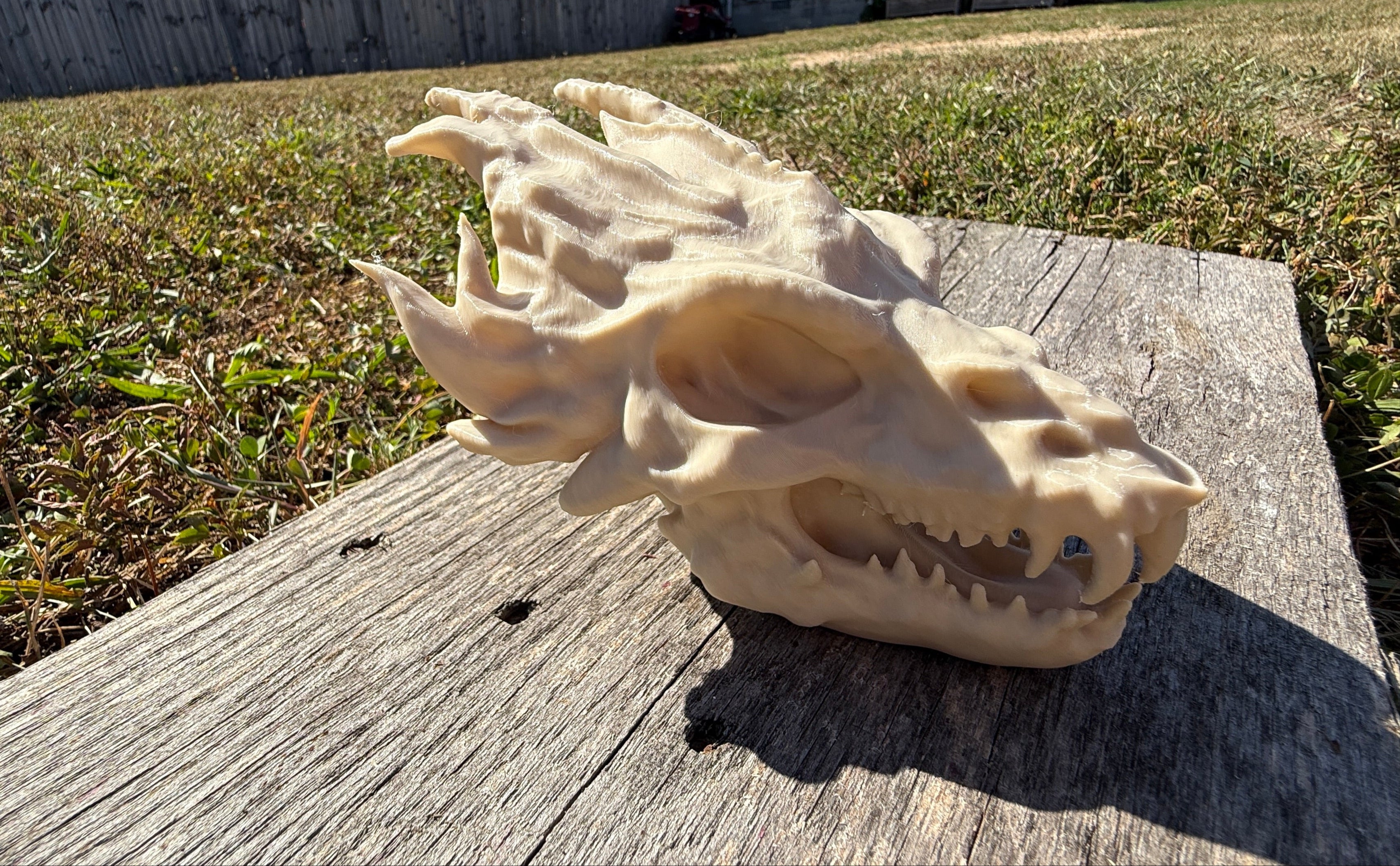 Dragon Skull
