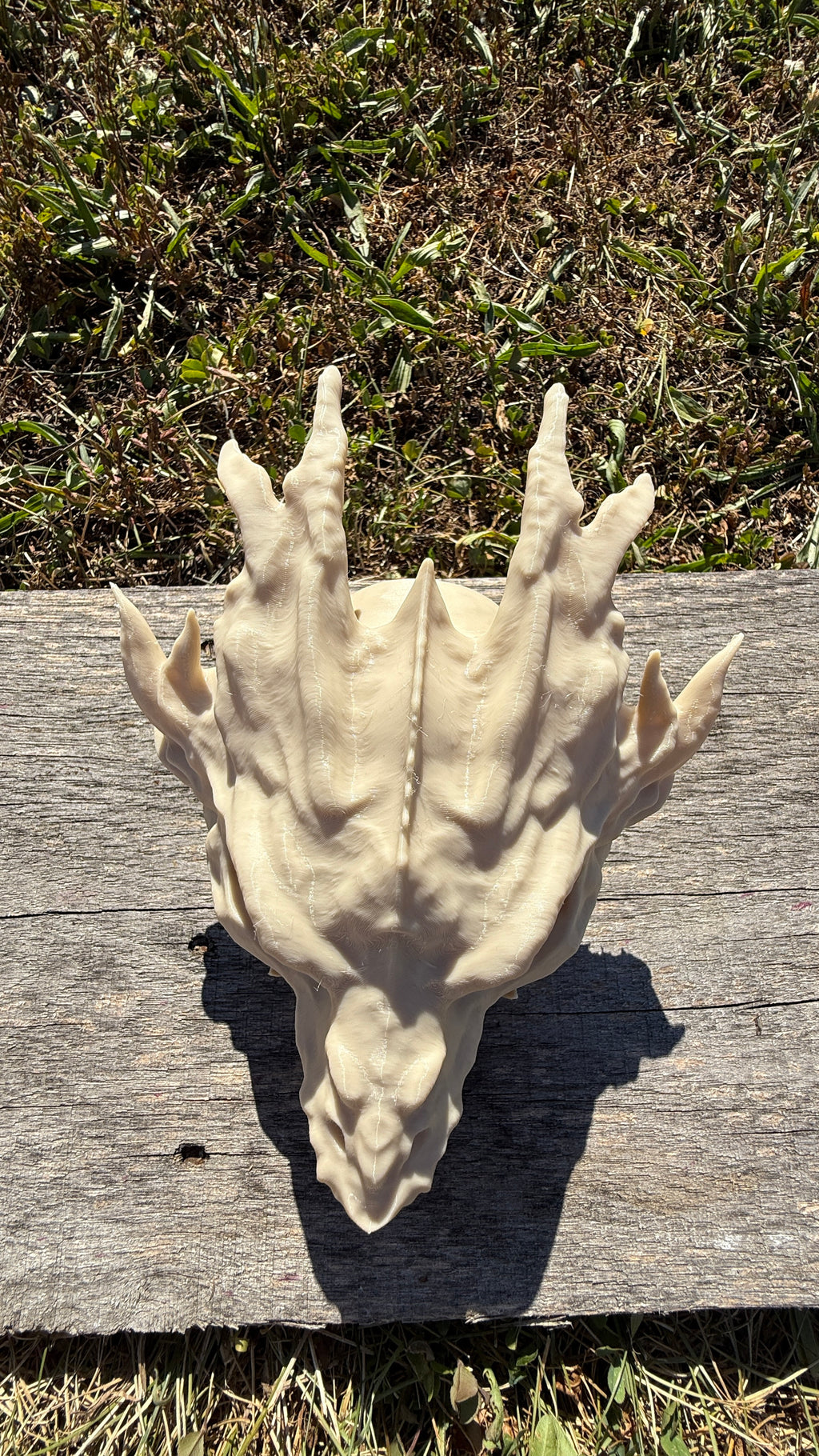 Dragon Skull