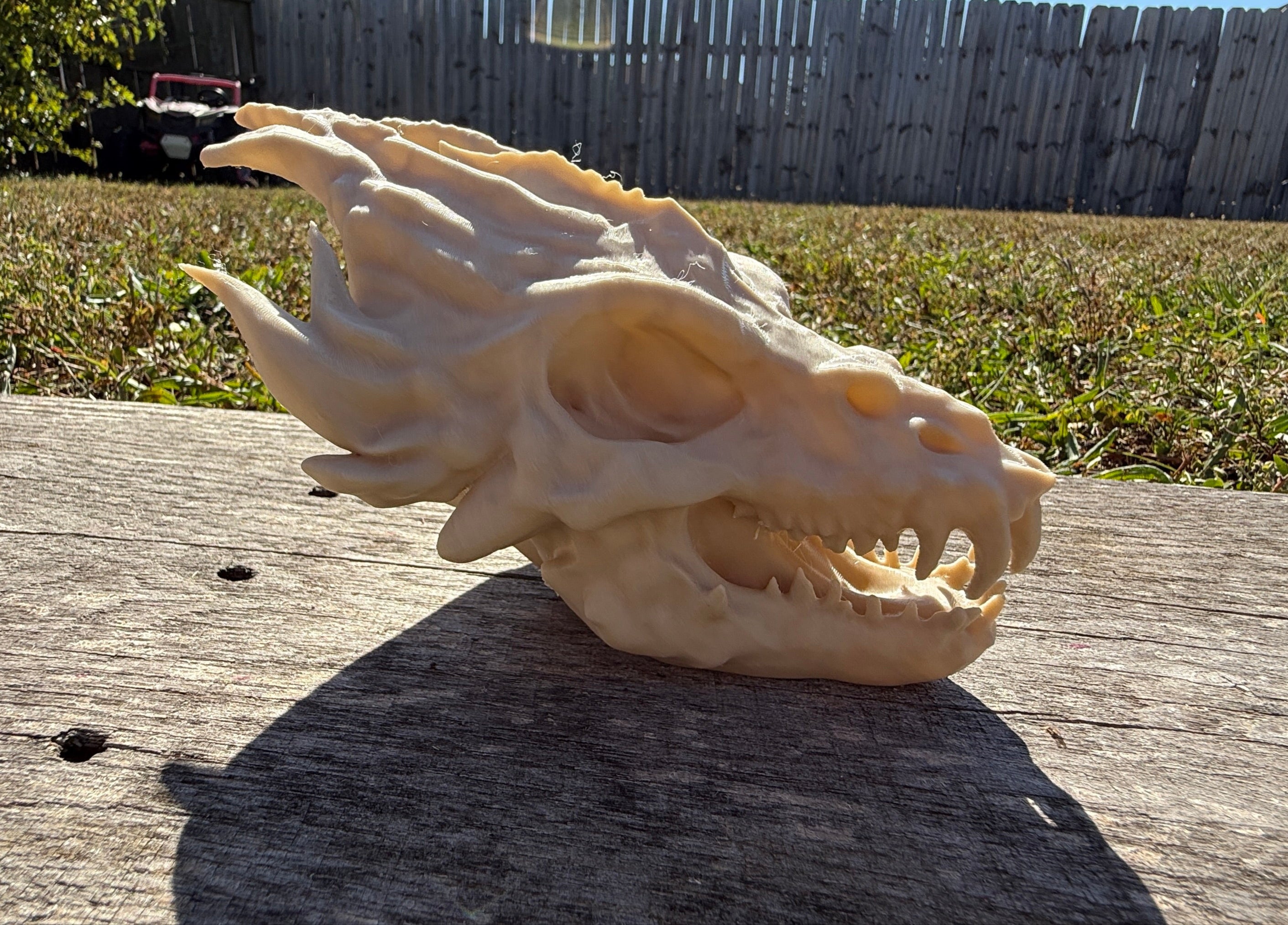 Dragon Skull