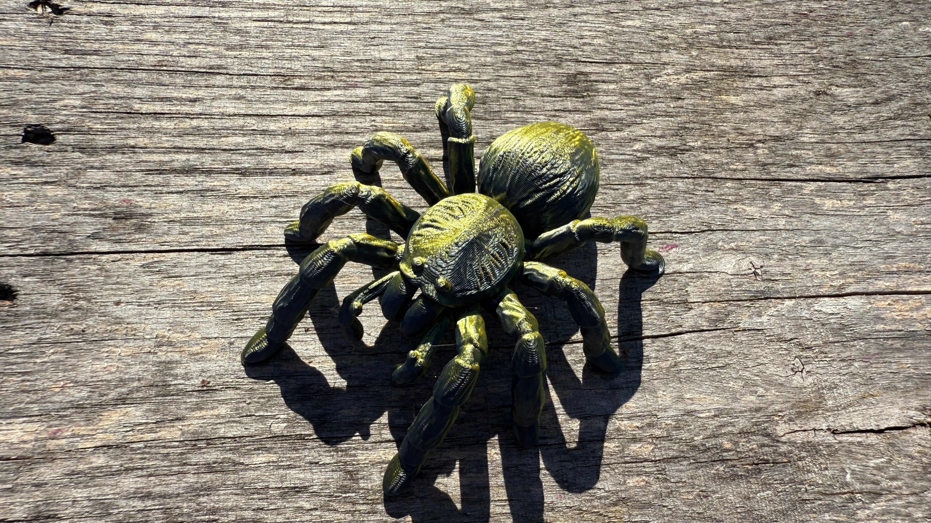 Creepy Spider