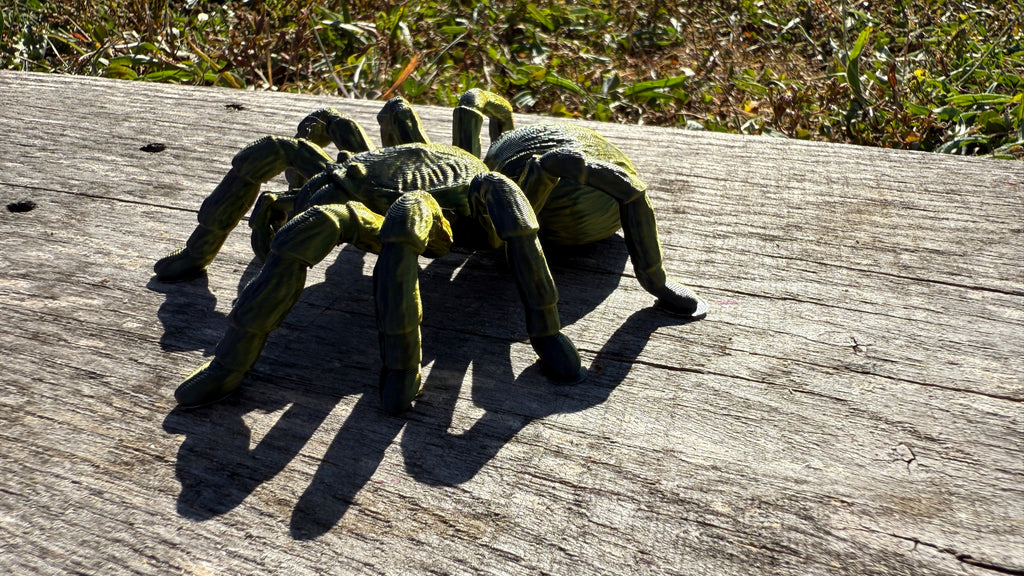 Creepy Spider