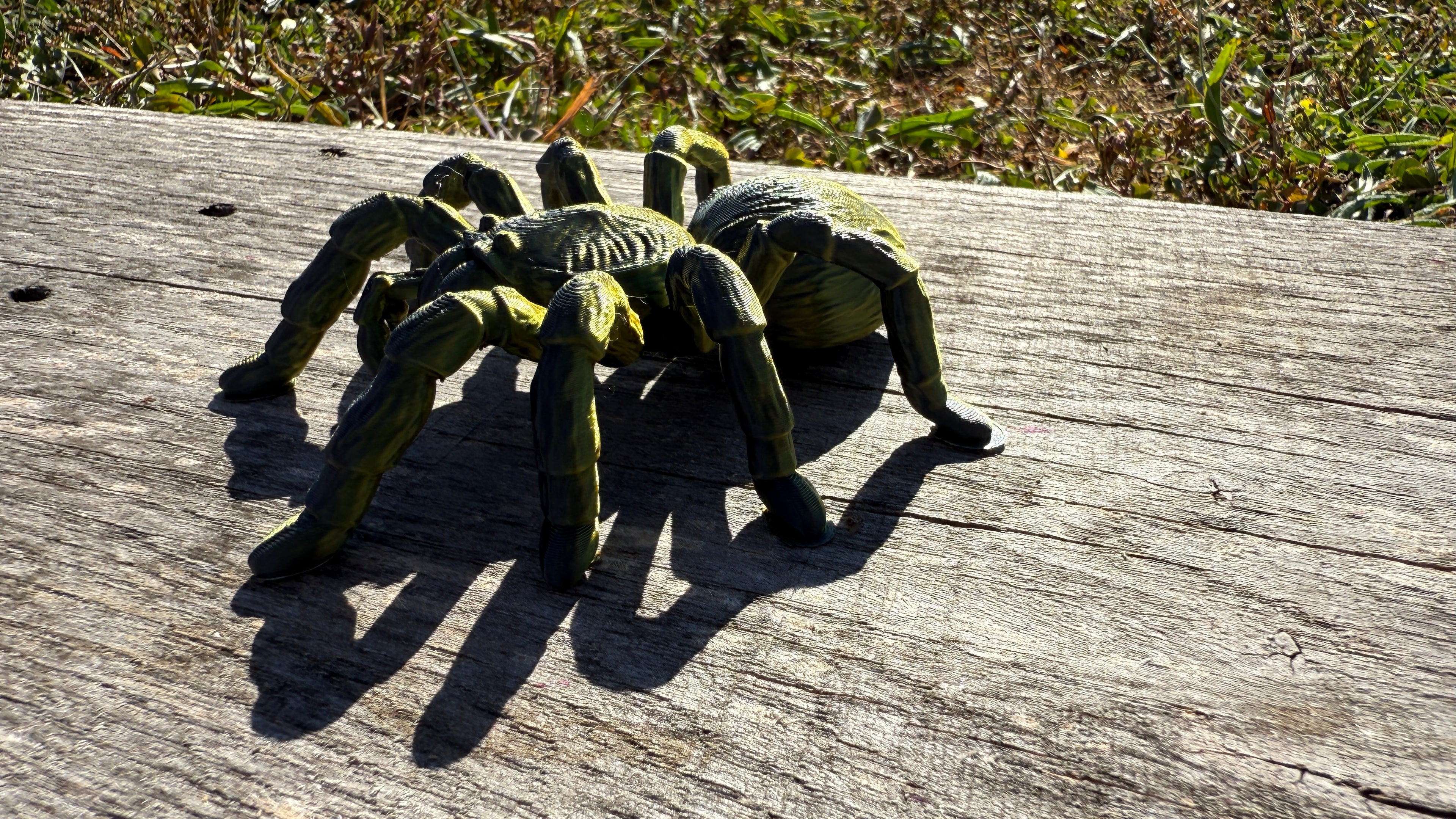Creepy Spider
