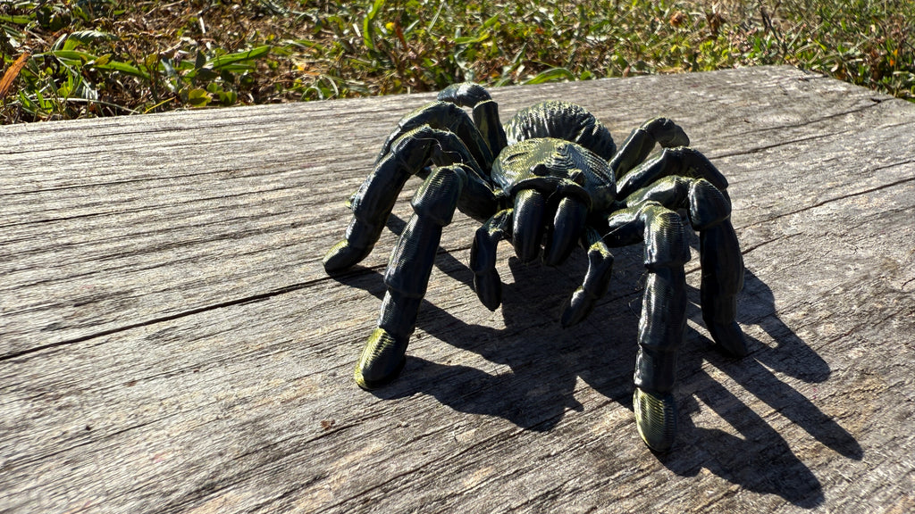 Creepy Spider