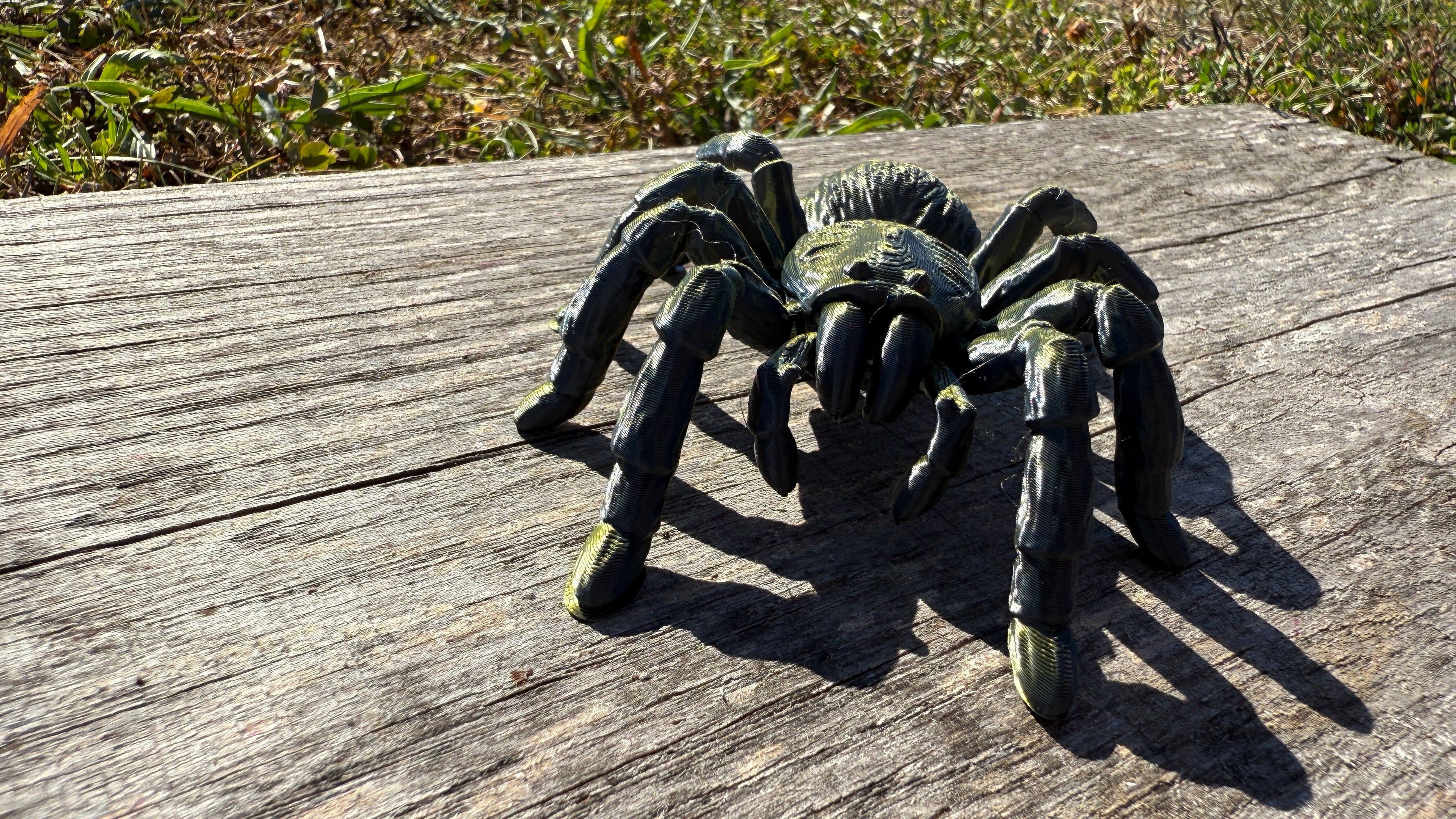 Creepy Spider