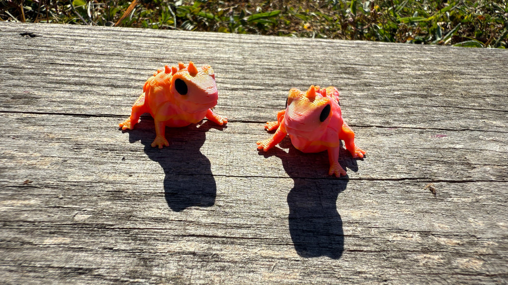 Mini Orange Chameleons