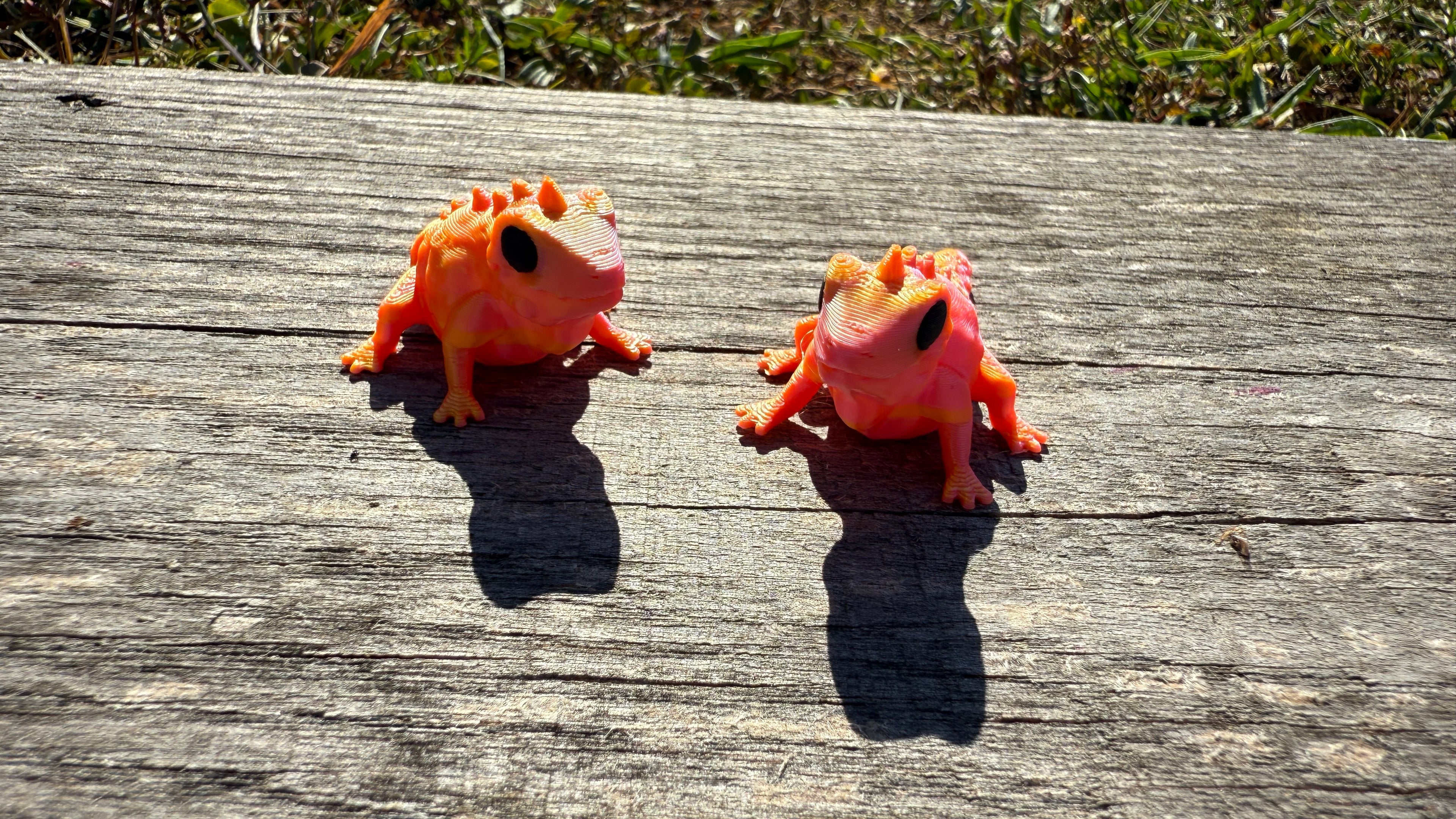 Mini Orange Chameleons