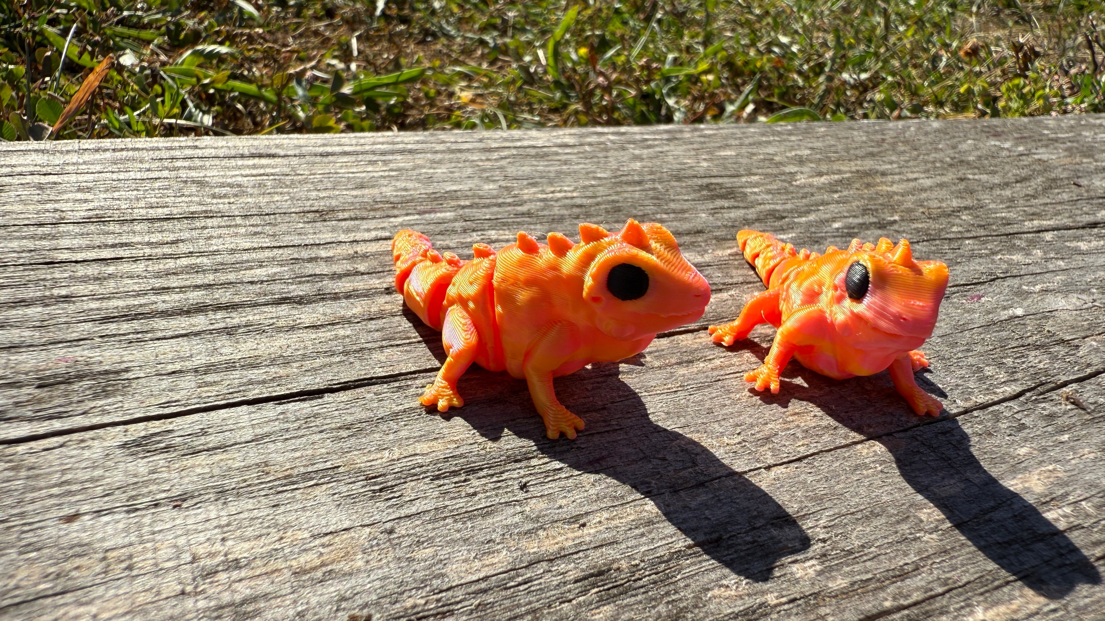 Mini Orange Chameleons