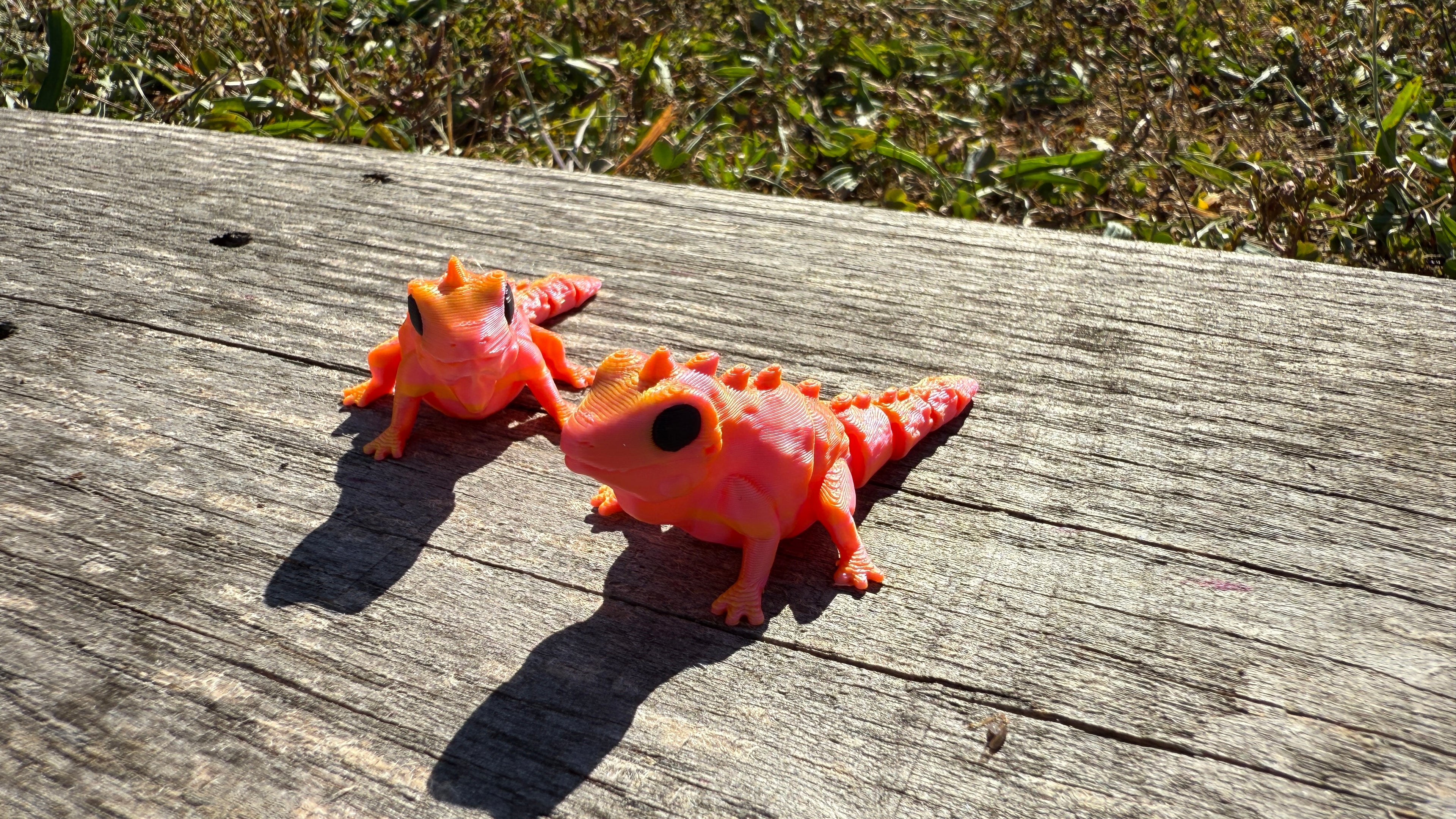 Mini Orange Chameleons