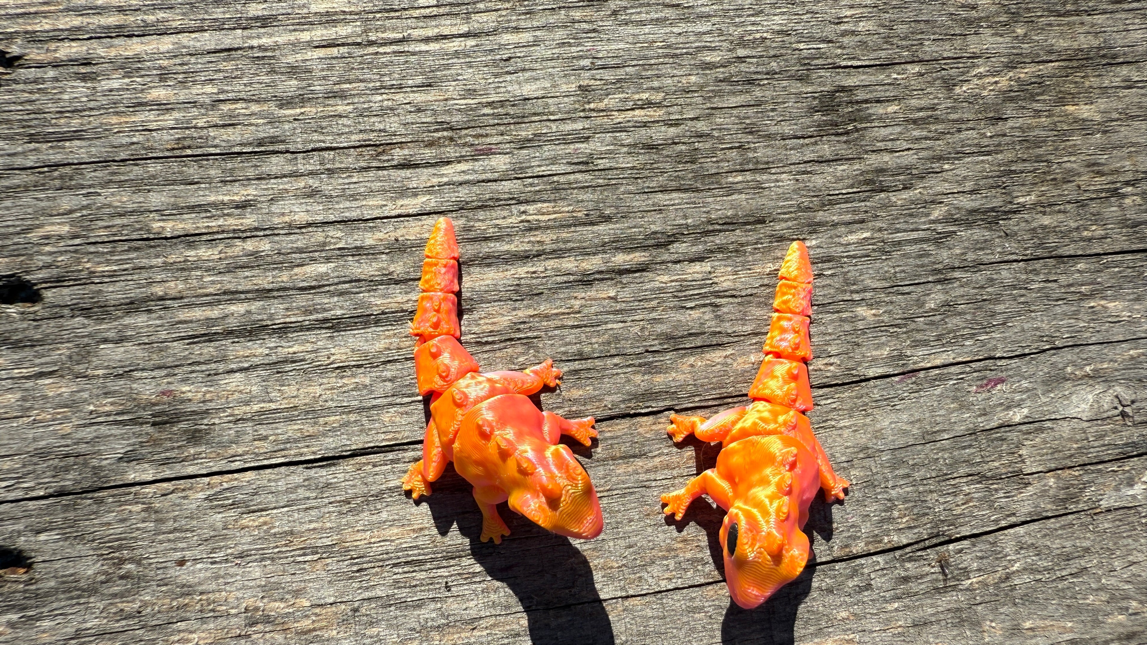 Mini Orange Chameleons