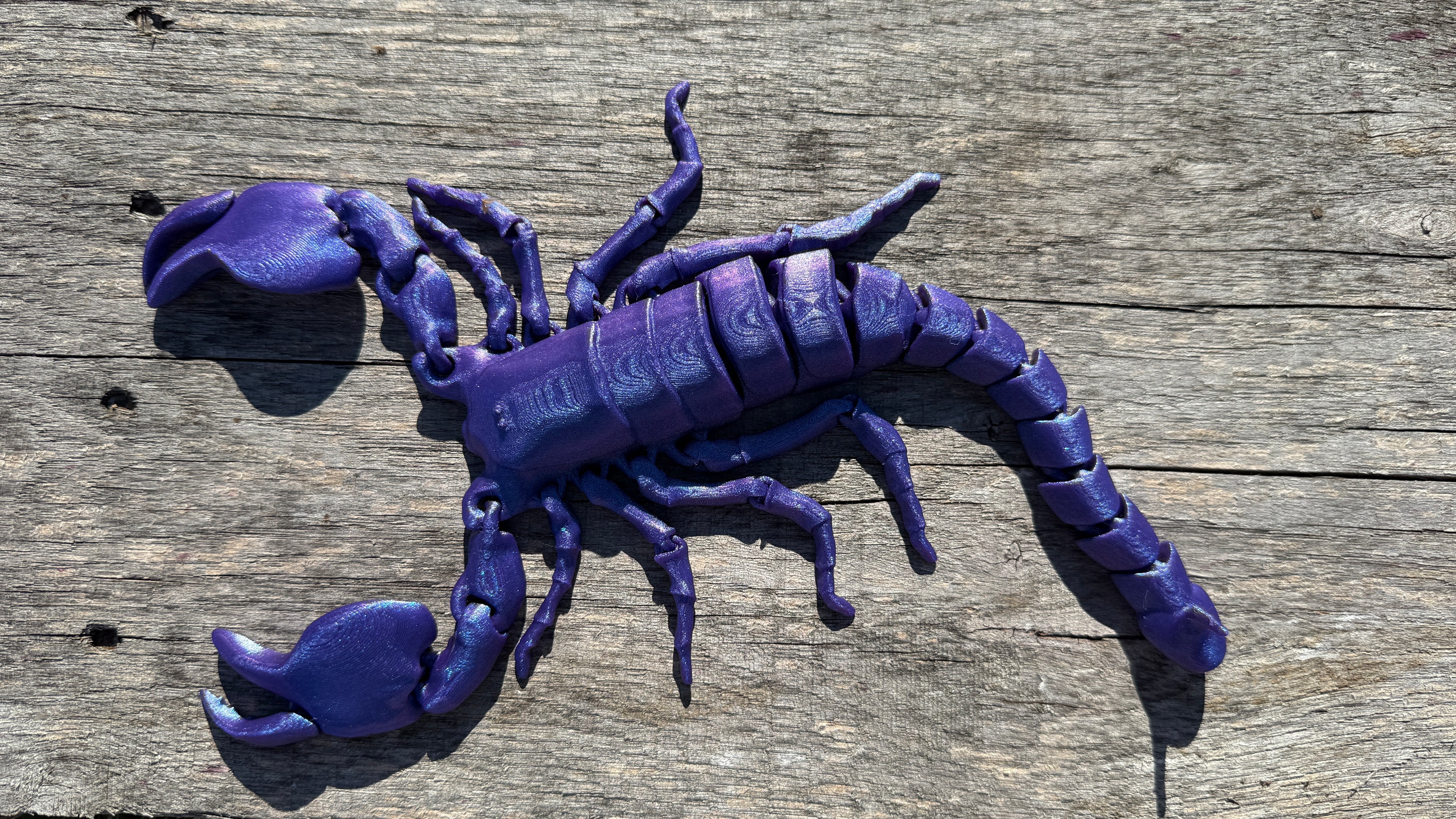 Articulated Scorpion
