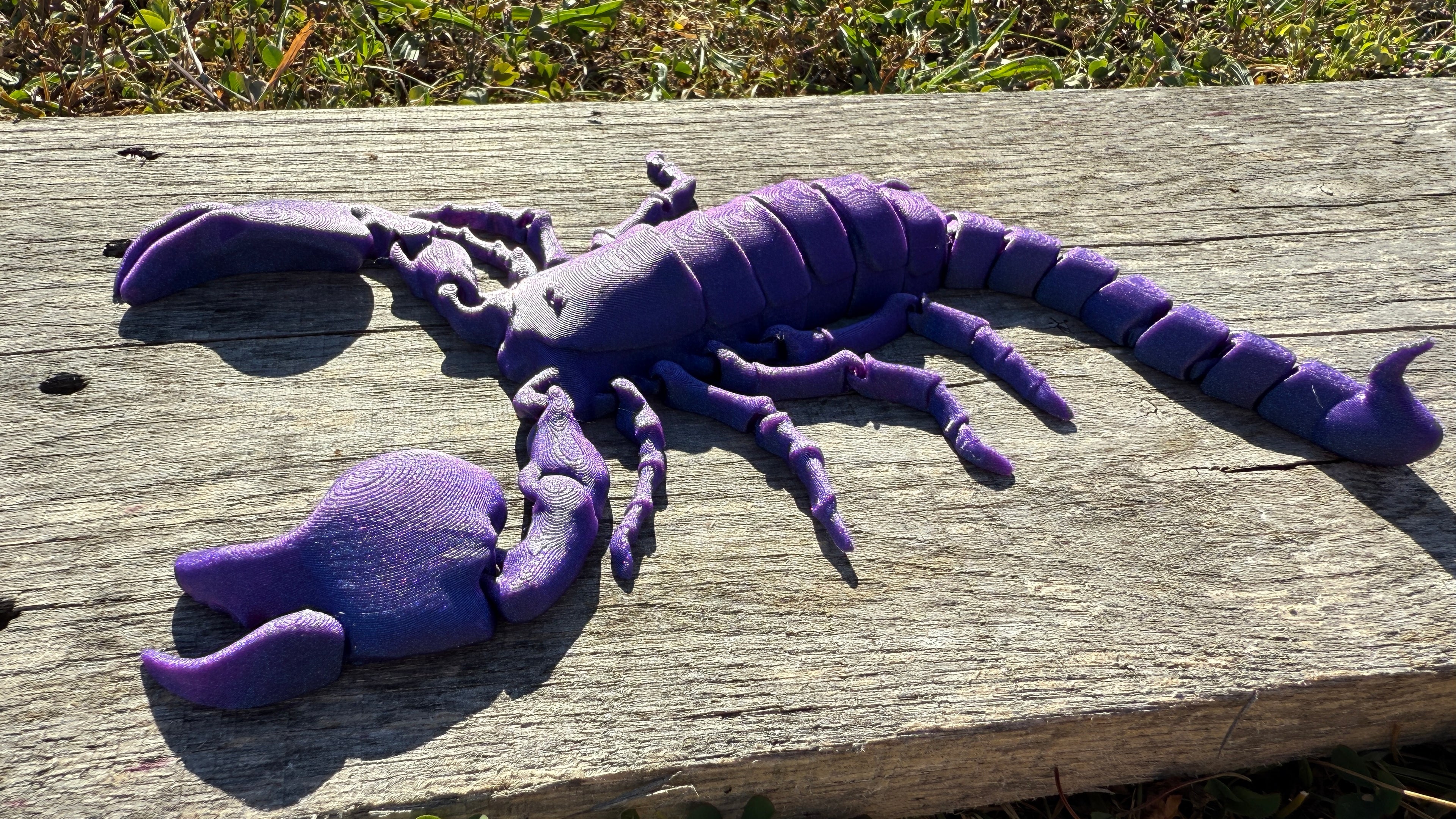 Articulated Scorpion