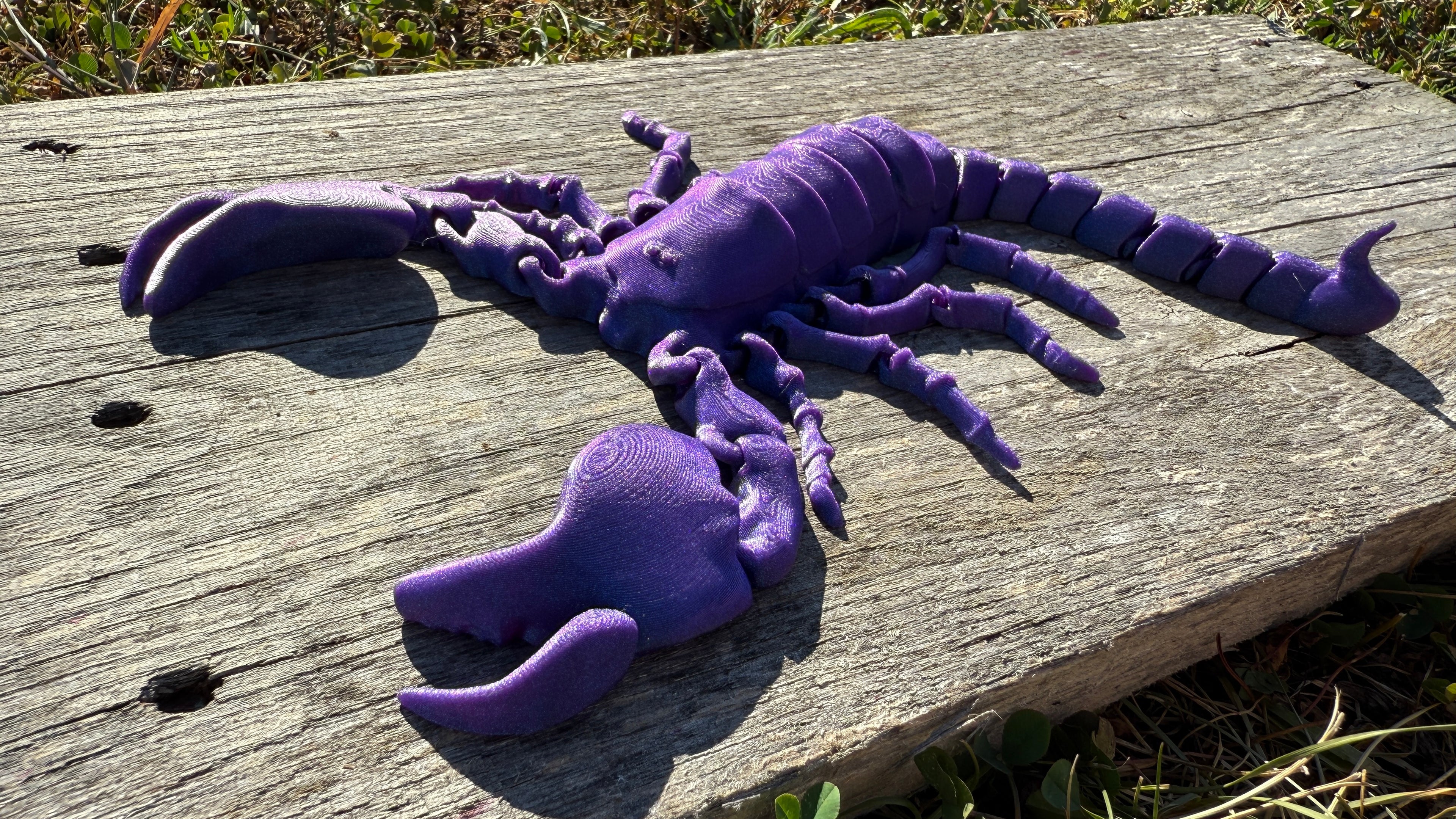 Articulated Scorpion